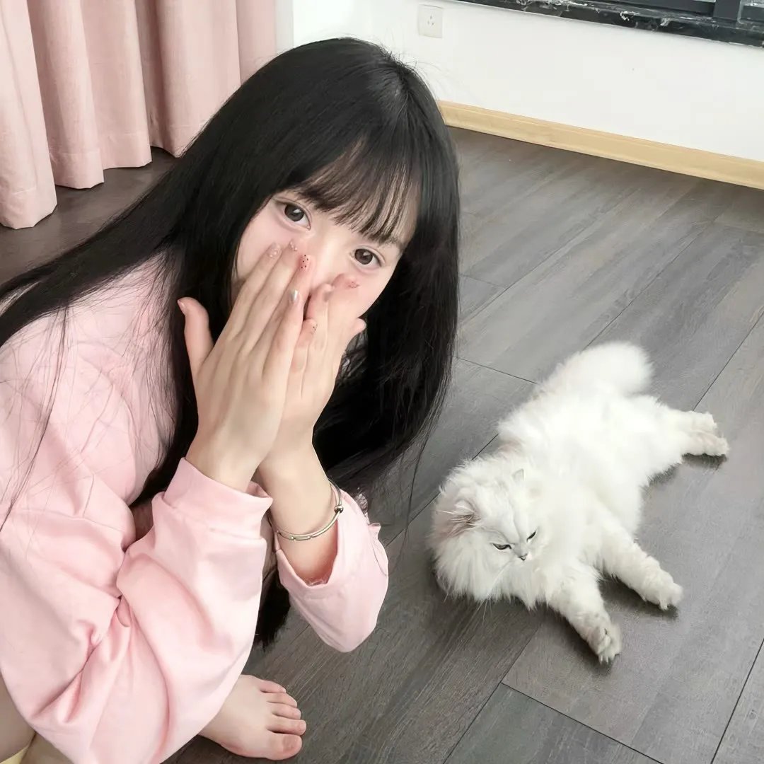 亡命客机