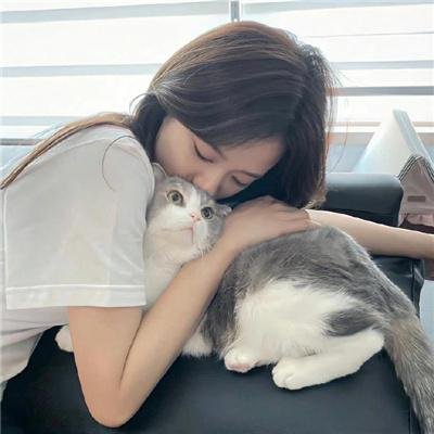 烛影危林